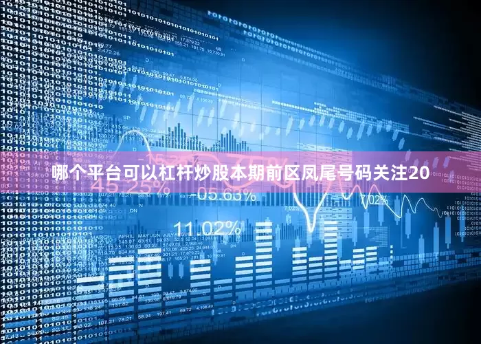 哪个平台可以杠杆炒股本期前区凤尾号码关注20